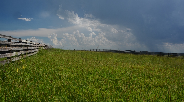 cattle pens of Kansas